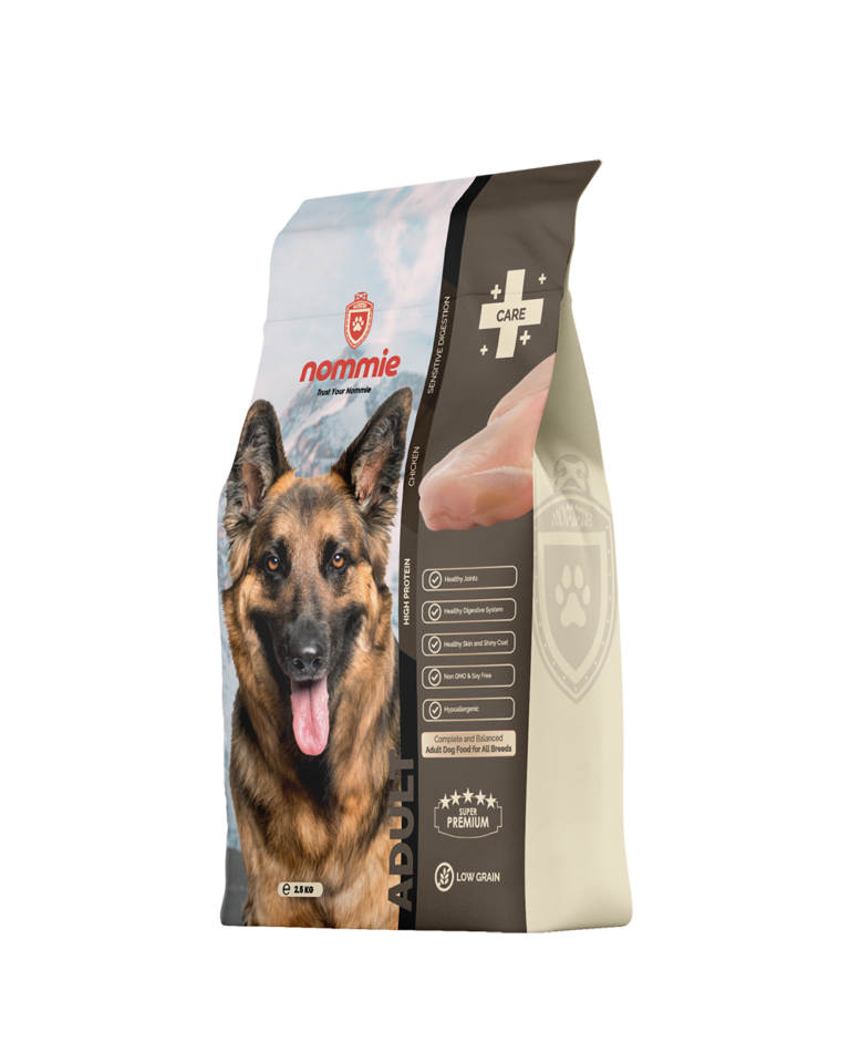 Adult Dog Food Chicken Low Grain