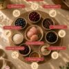 infografik ingilizce-03 Small Adult Dog Food Chicken Low Grain