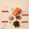 Adult Cat Food Sterilised & Light Salmon Low Grain